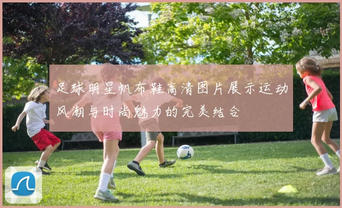 足球明星帆布鞋高清图片展示运动风潮与时尚魅力的完美结合
