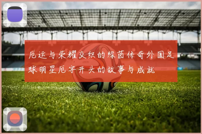 厄运与荣耀交织的绿茵传奇外国足球明星厄字开头的故事与成就