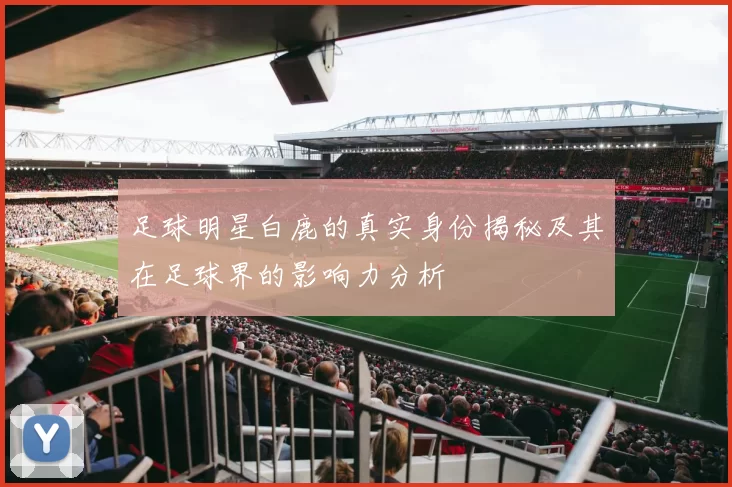 足球明星白鹿的真实身份揭秘及其在足球界的影响力分析