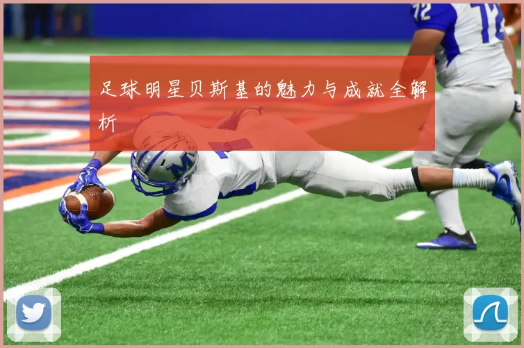 足球明星贝斯基的魅力与成就全解析