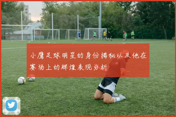 小鹰足球明星的身份揭秘以及他在赛场上的辉煌表现分析