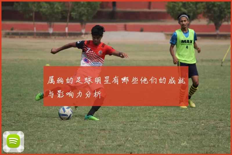 属狗的足球明星有哪些他们的成就与影响力分析