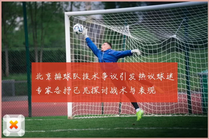 北京排球队技术争议引发热议球迷专家各抒己见探讨战术与表现