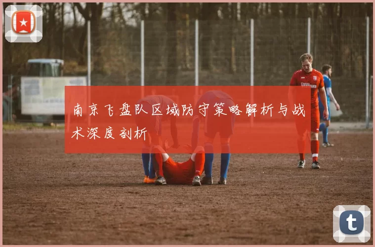 南京飞盘队区域防守策略解析与战术深度剖析