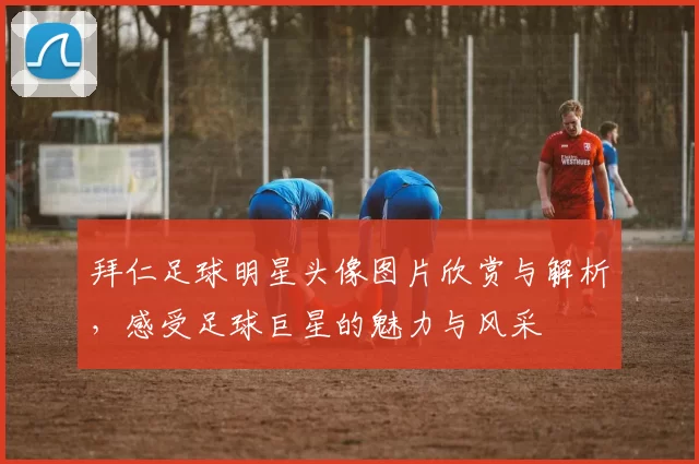 拜仁足球明星头像图片欣赏与解析，感受足球巨星的魅力与风采