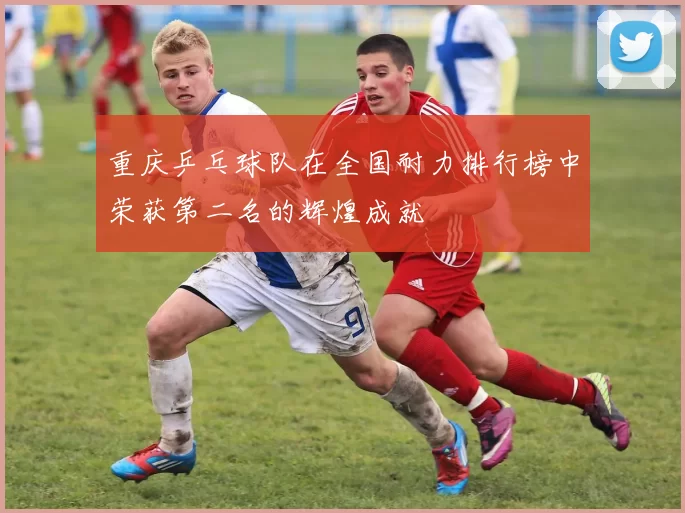 重庆乒乓球队在全国耐力排行榜中荣获第二名的辉煌成就