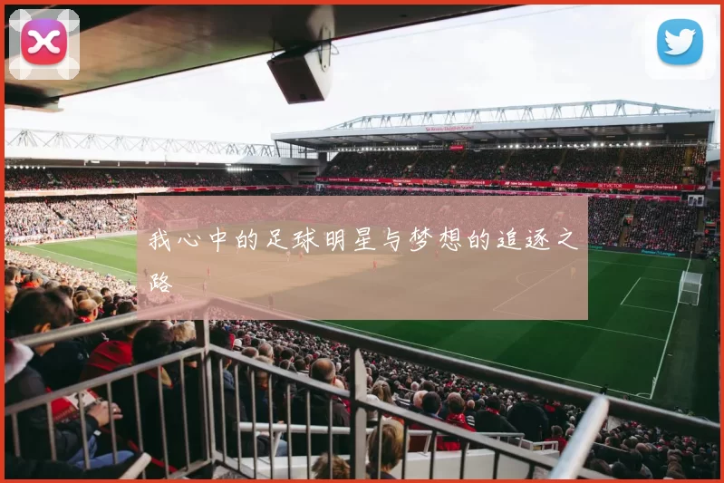 我心中的足球明星与梦想的追逐之路