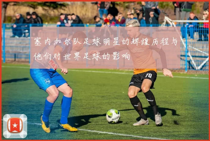 塞内加尔队足球明星的辉煌历程与他们对世界足球的影响