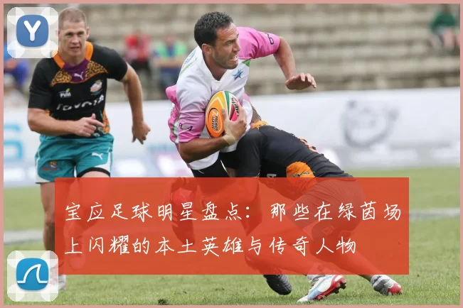 宝应足球明星盘点：那些在绿茵场上闪耀的本土英雄与传奇人物