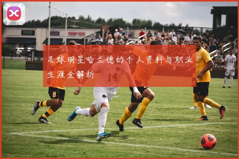足球明星哈兰德的个人资料与职业生涯全解析